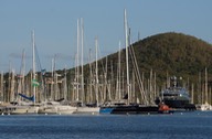 031413 1 Le Marlin Martinique Katherine in amongst the sea of masts