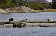 090913 2 Albrekstssunds Kanal