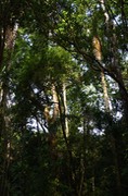140209 2 Walking Fort Sherman