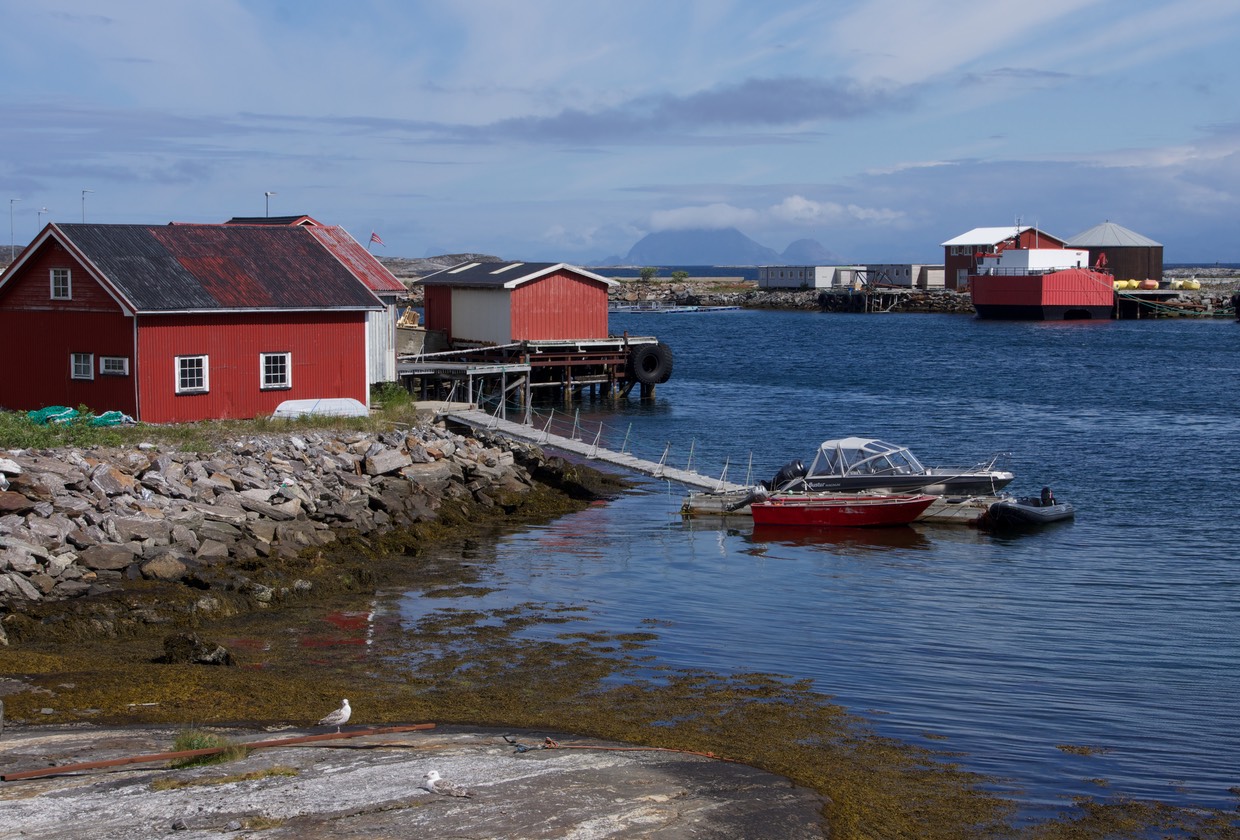 140623 7 Lovund Northern Harbour