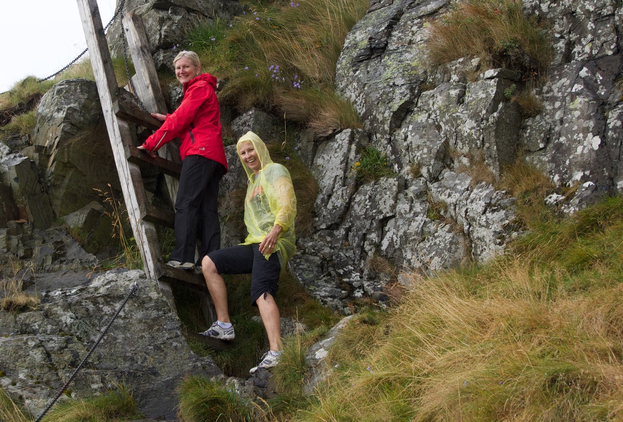 140804 12 Runde Walked bird cliffs beautiful views