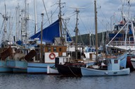 150723 5 Fleet of fishing boats little to big