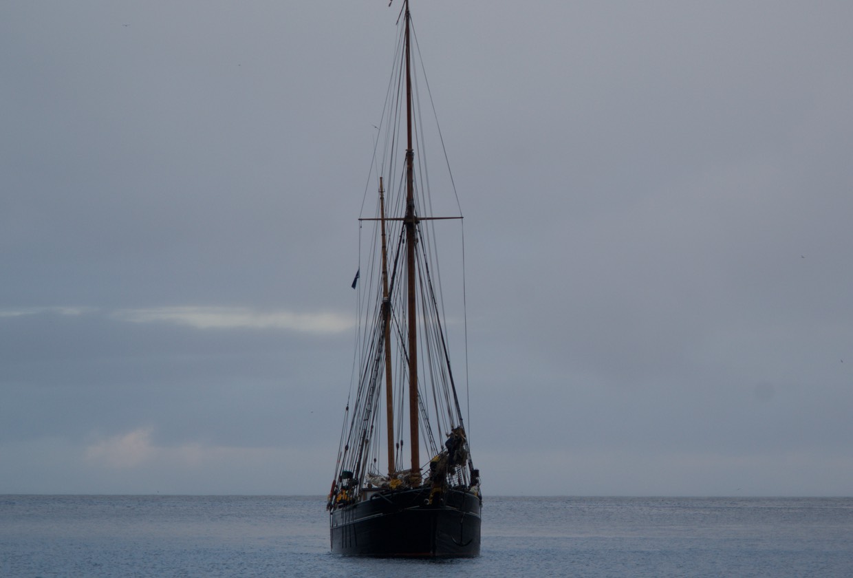 150810 10 Besse Ellen coming into harbour St KIlda