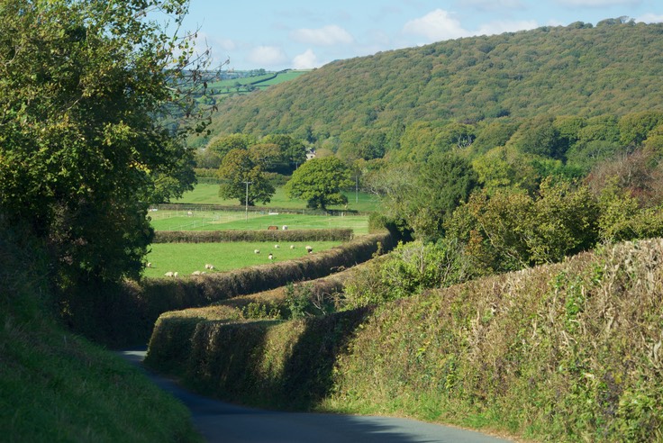 151013 8 Drive day to Dartmoor National Park Laneways.jpg