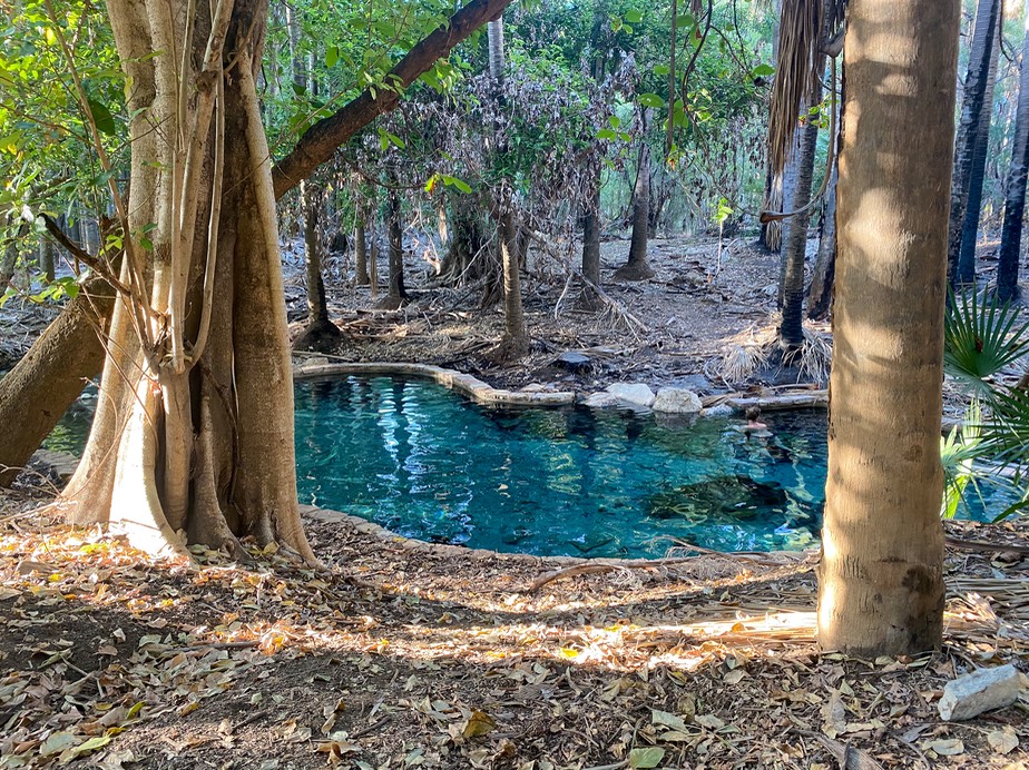 200815 7 Mataranka Homestead  hotsprings -3