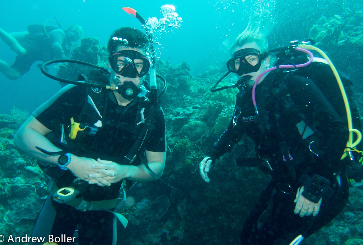 Family Dive Time